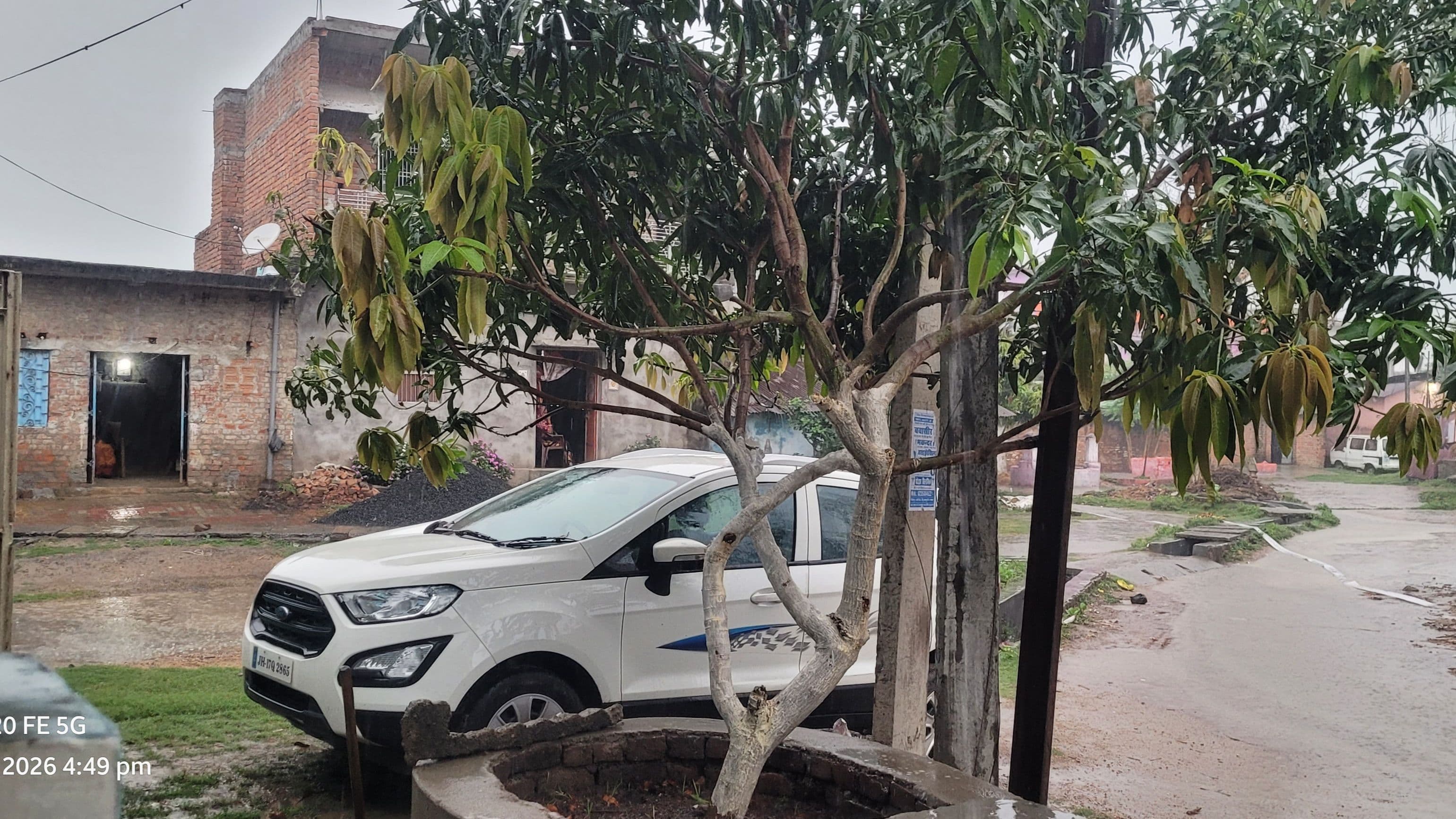 भागलपुर में बदला मौसम: बारिश से ठंडक, आम के मंजर और रबी फसल पर असर